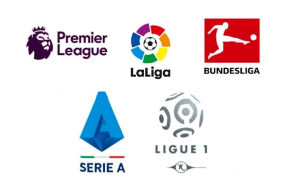 在球场上 在球场上